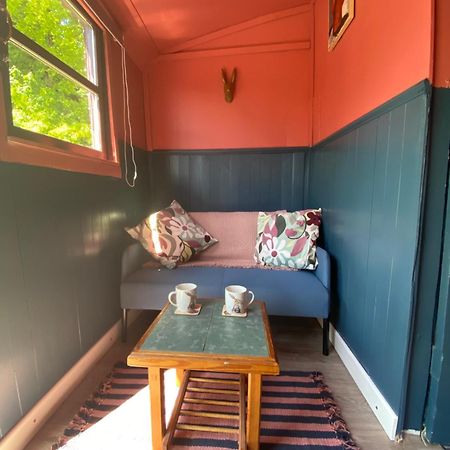 The Hares Hut At Carrigeen Glamping Kilkenny Luaran gambar