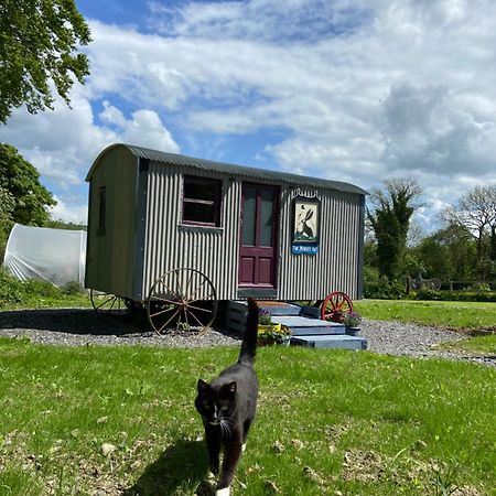 The Hares Hut At Carrigeen Glamping Kilkenny Luaran gambar