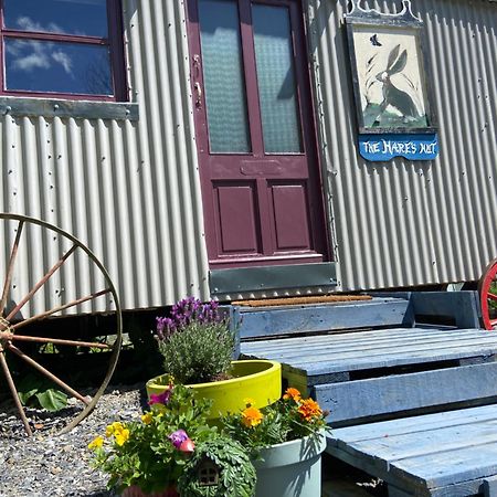 The Hares Hut At Carrigeen Glamping Kilkenny Luaran gambar